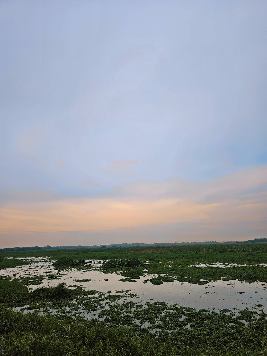 Reserva Ecológica - Tembladeras Laguna Olmeca
