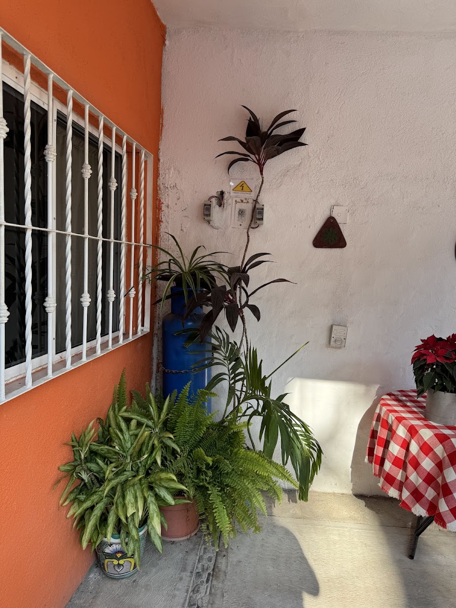 Bungalows Aranzazu photo 2
