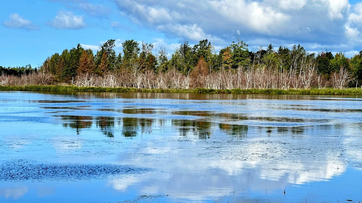 Wallace Bay National Wildlife Area