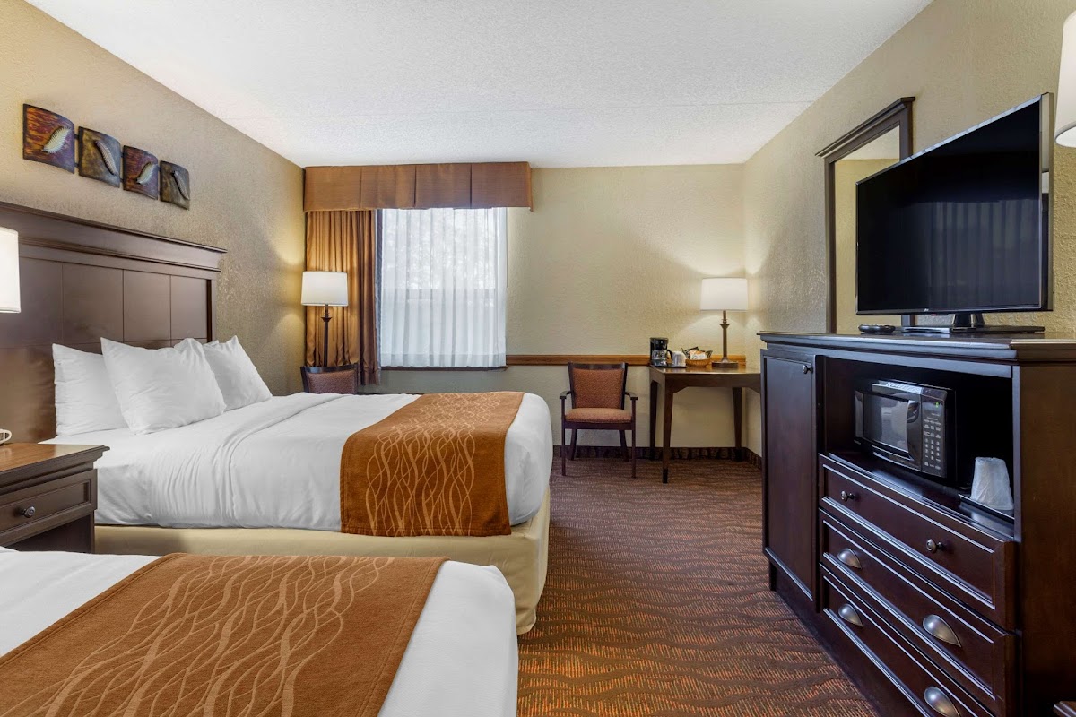 Comfort Inn at Thousand Hills photo 2