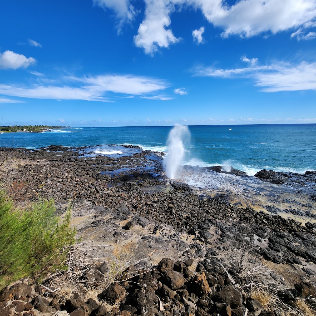 Spouting Horn
