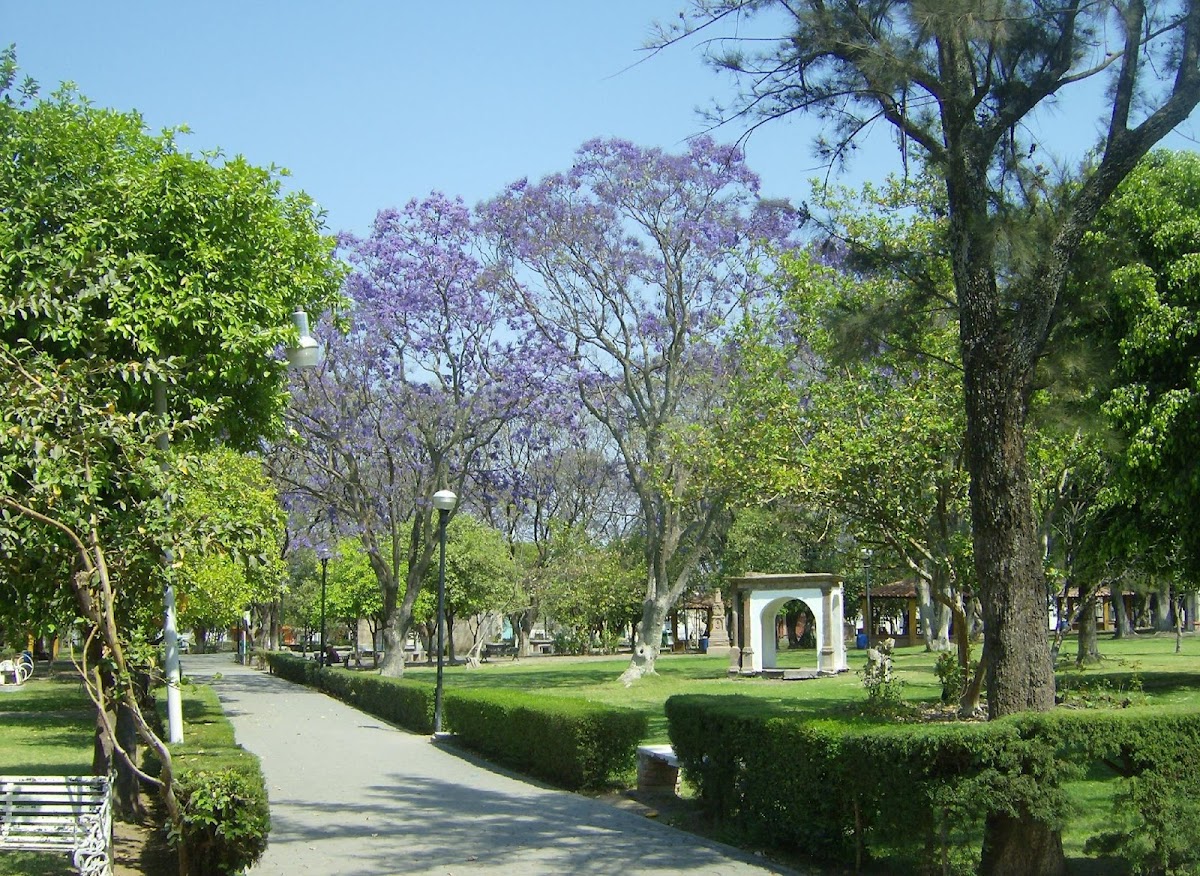 Parque Morelos