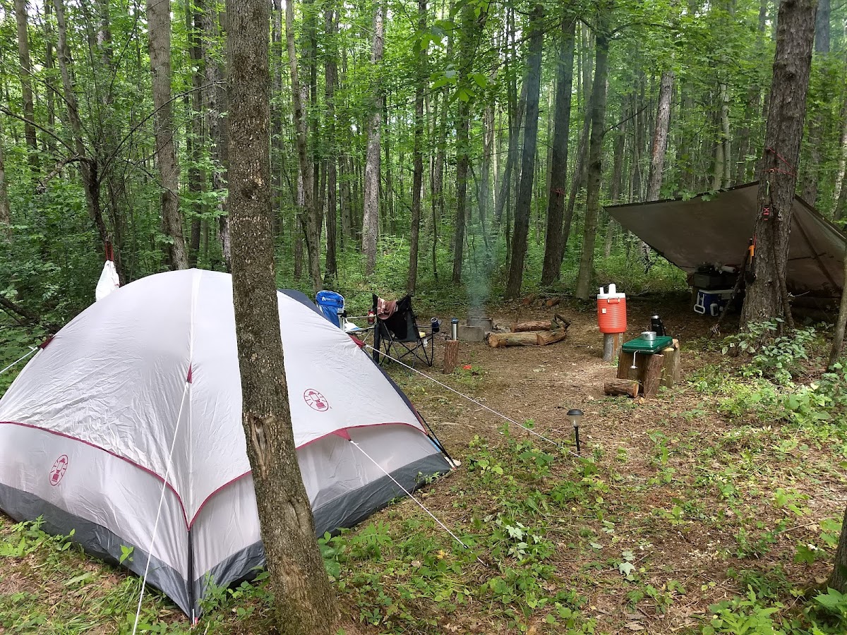 Finger Lakes National Forest