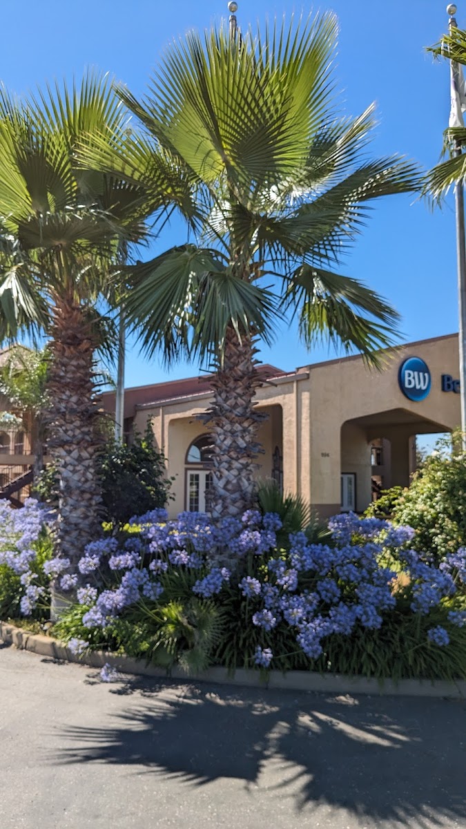 Best Western Yuba City Inn photo 3