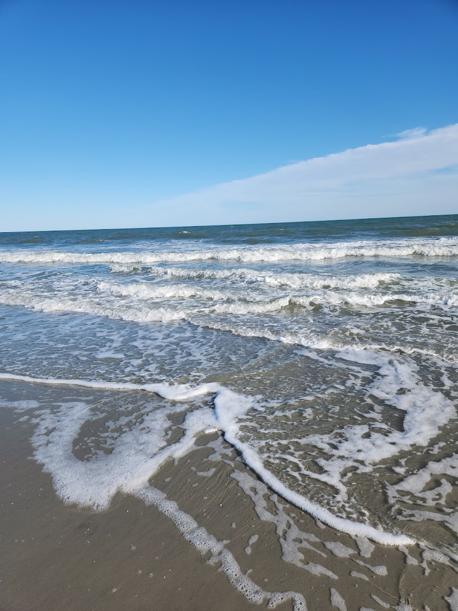 A Place At the Beach - Windy Hill photo 2