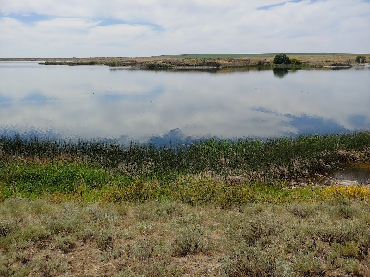 Sprague Lake