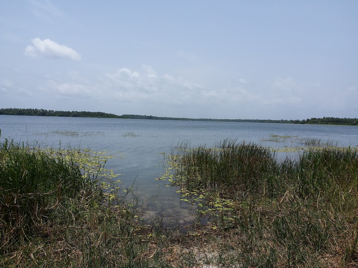 Lac Labion
