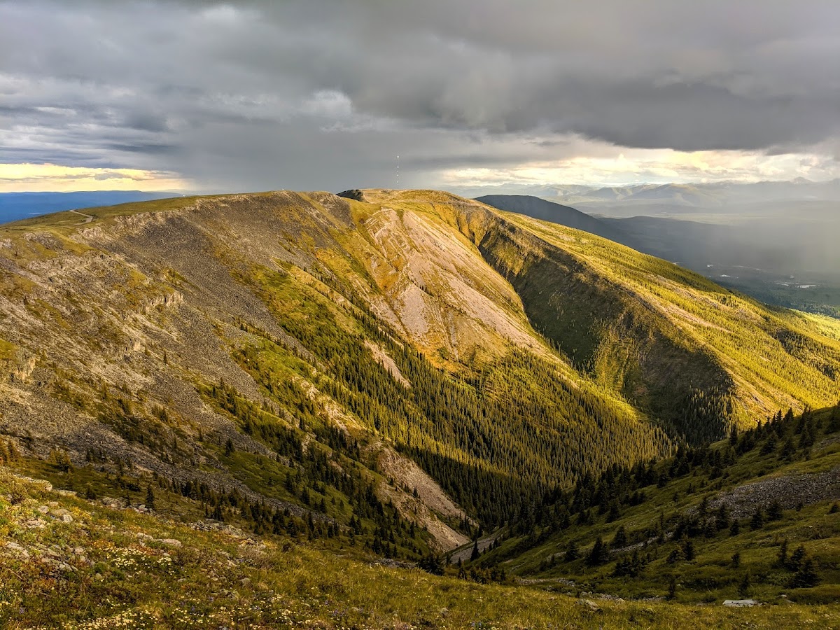 Pink Mountain Provincial Park
