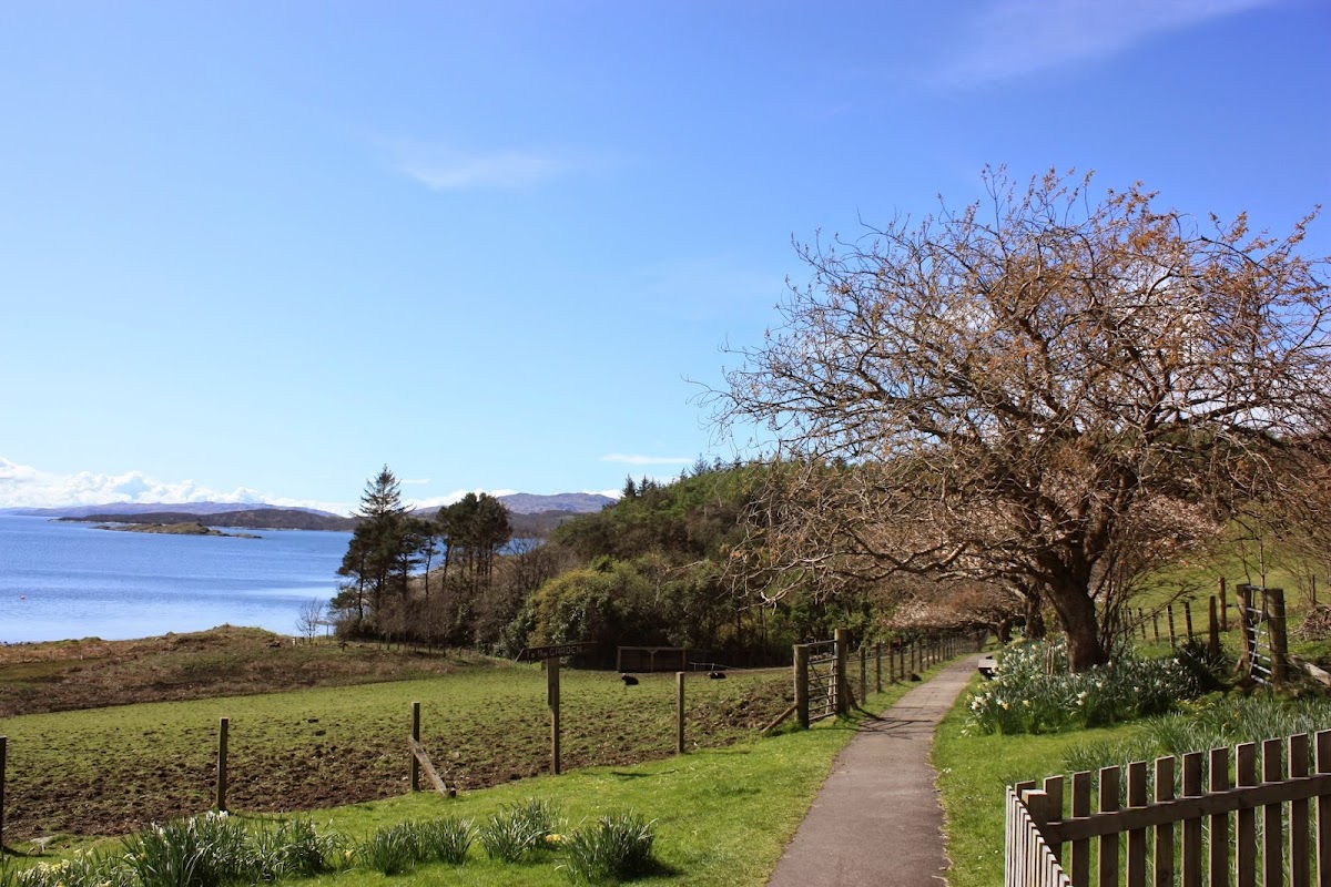 Arduaine Garden
