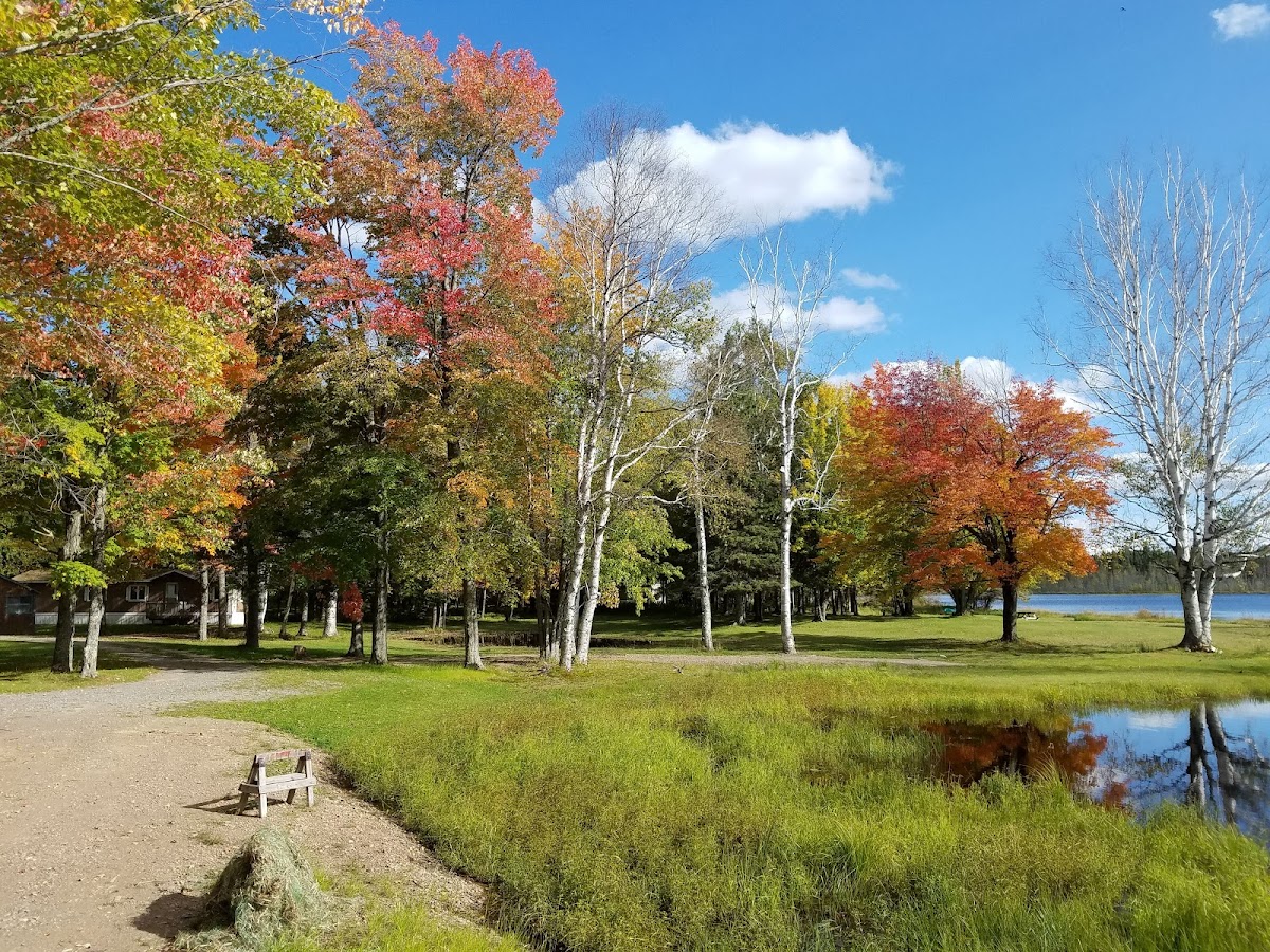 Timber Lane Resort