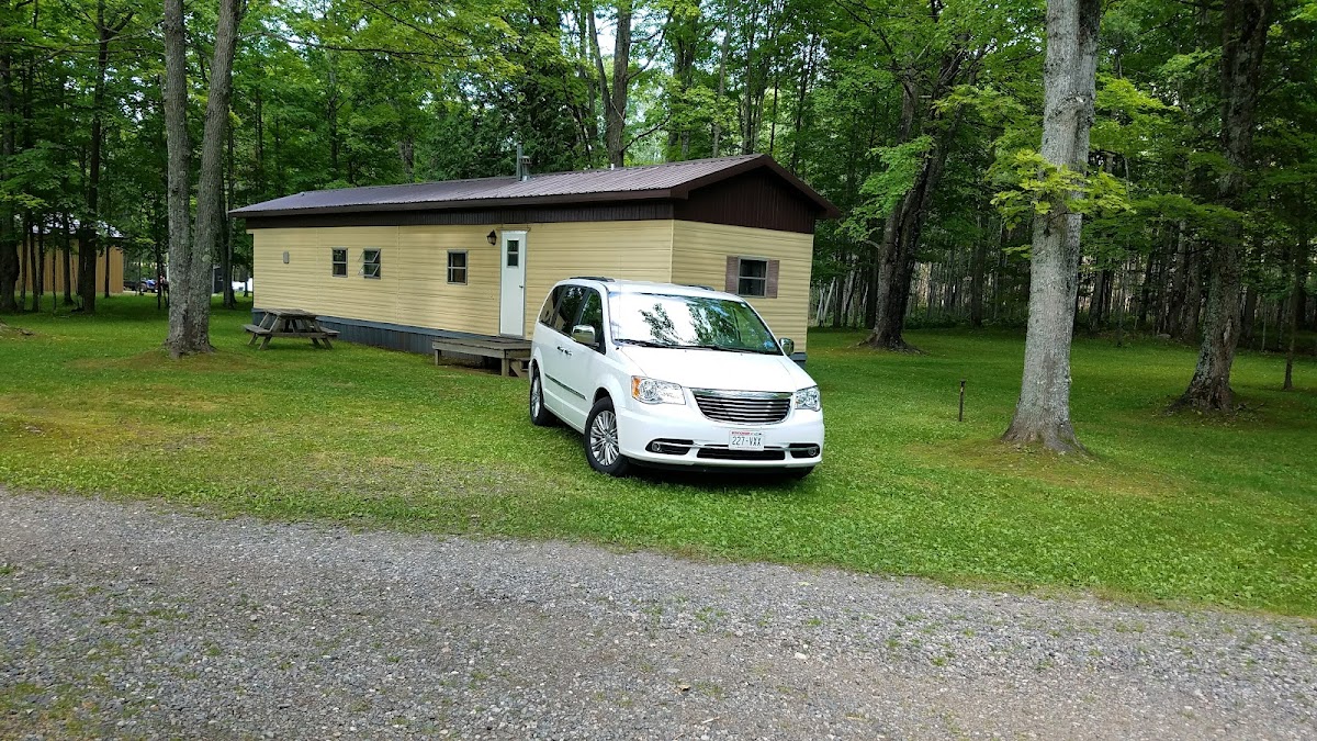 Timber Lane Resort photo 3