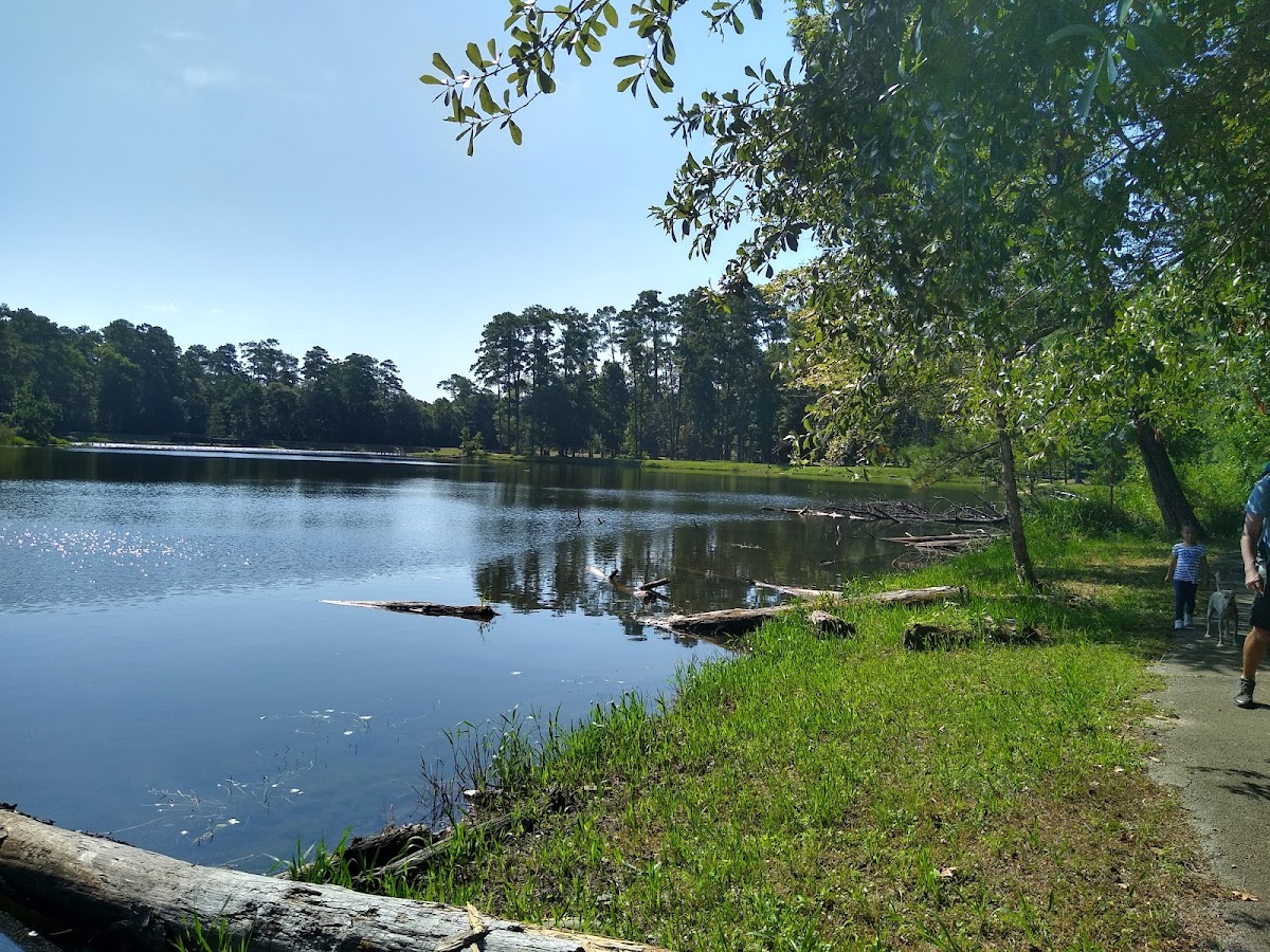 Double Lake Recreation Area