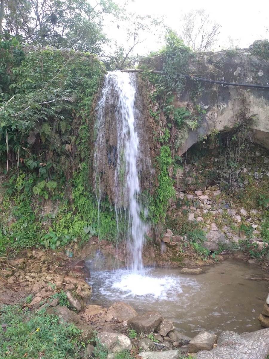 Ejido Minas Viejas