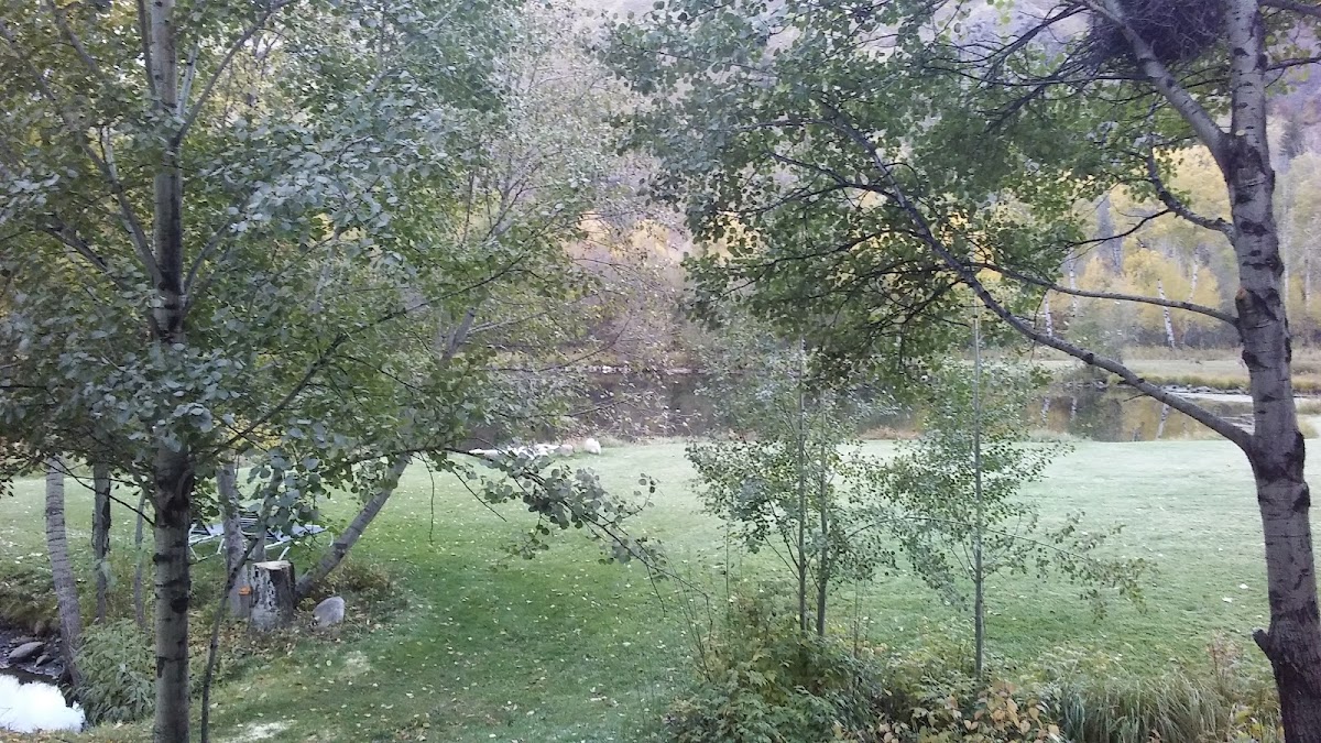 100 Acre Wood Lodge photo 3