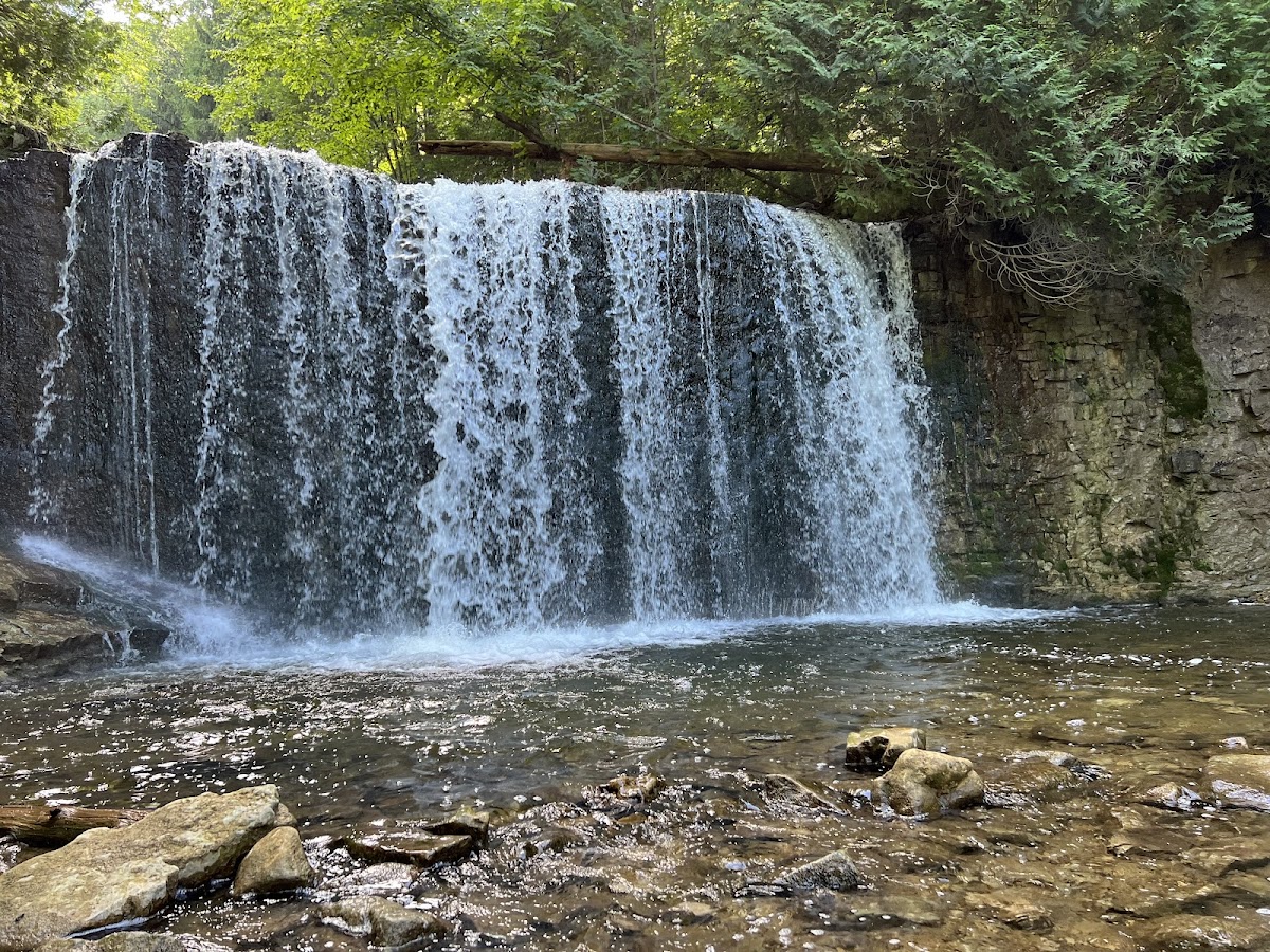 Hoggs Falls