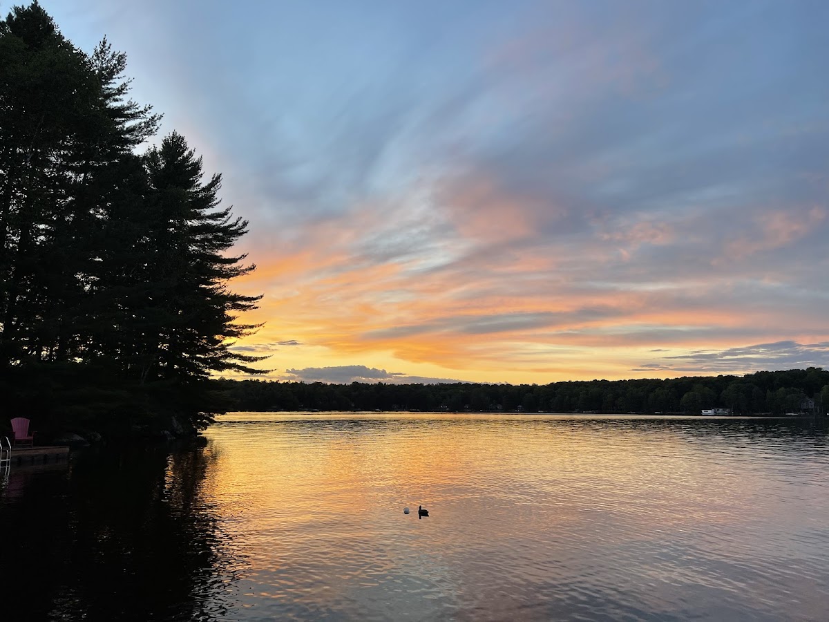 Wood Lake