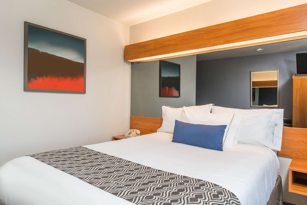 Microtel Inn & Suites by Wyndham Springfield photo 3