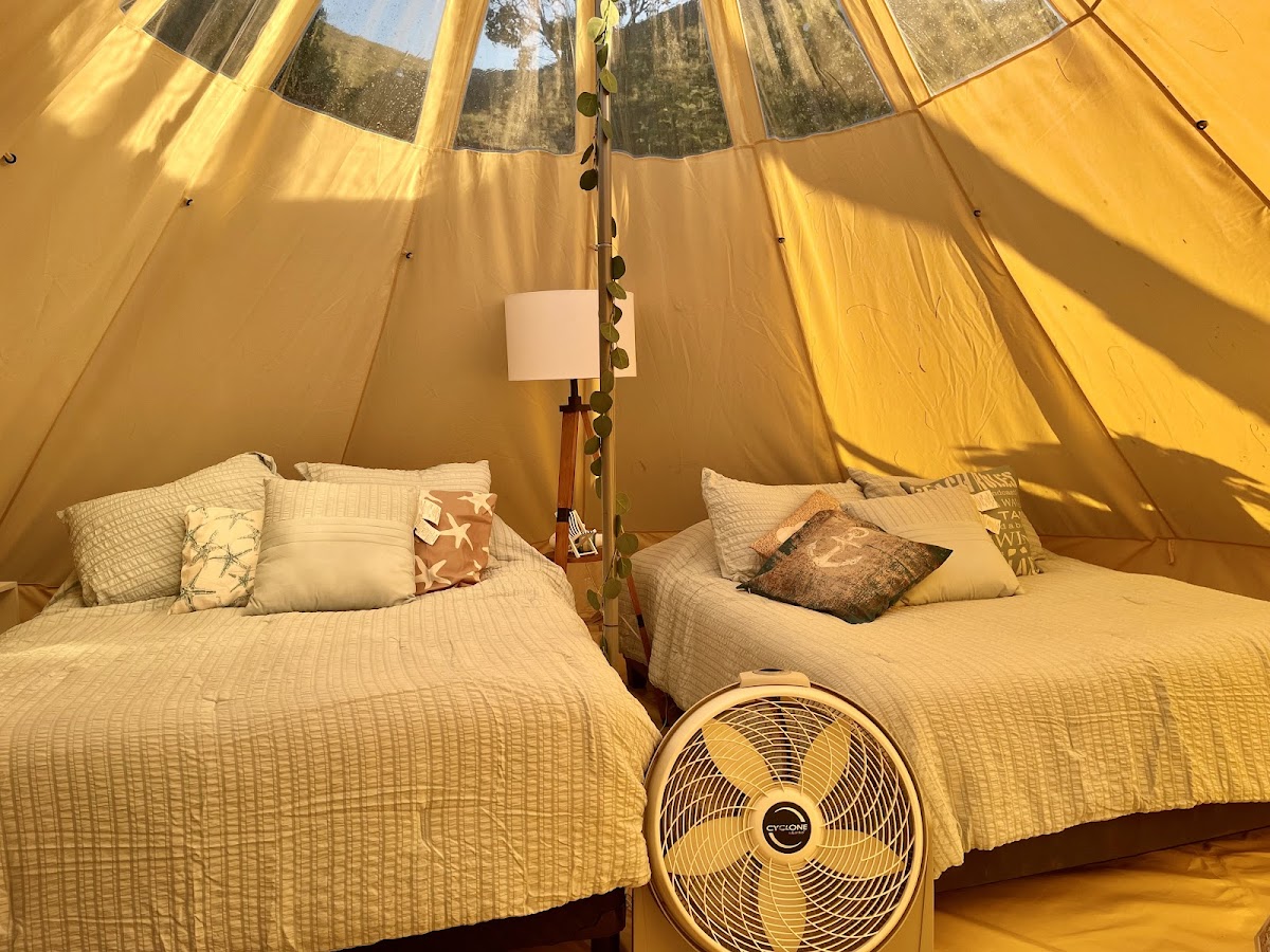 Indigo Glamping photo 2