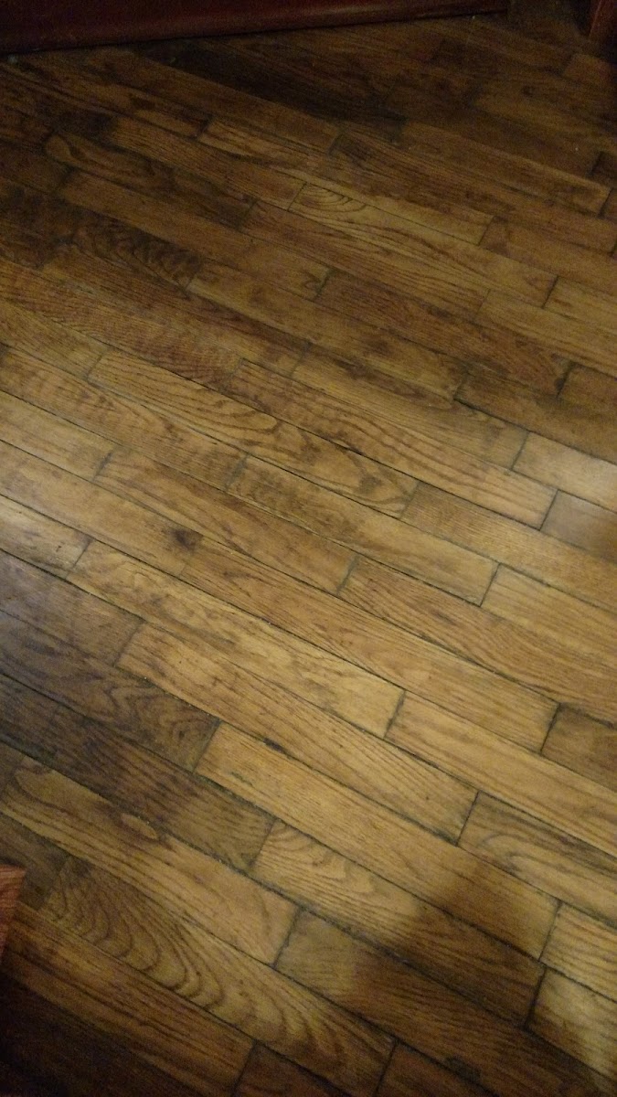 Greenup Inn photo 3