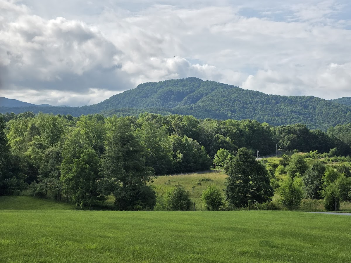 Fox Run Resort photo 3