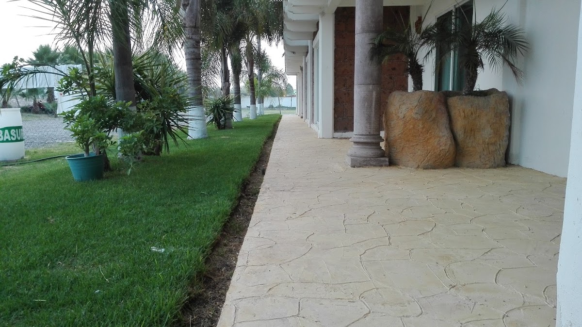 Hotel Mediterraneo VM photo 2
