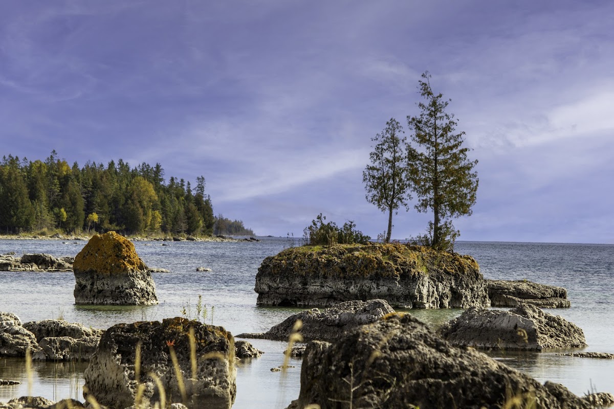 Bush Bay Trail (Narnia Trail)