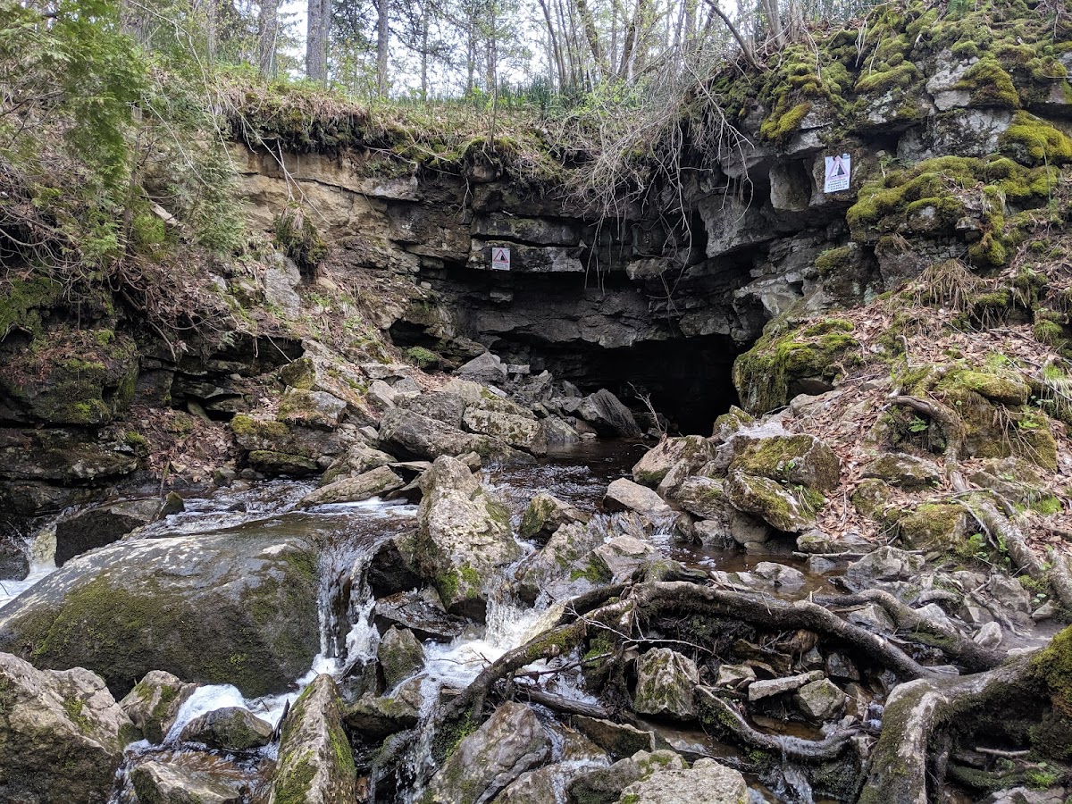 The Devil's Hole Cave