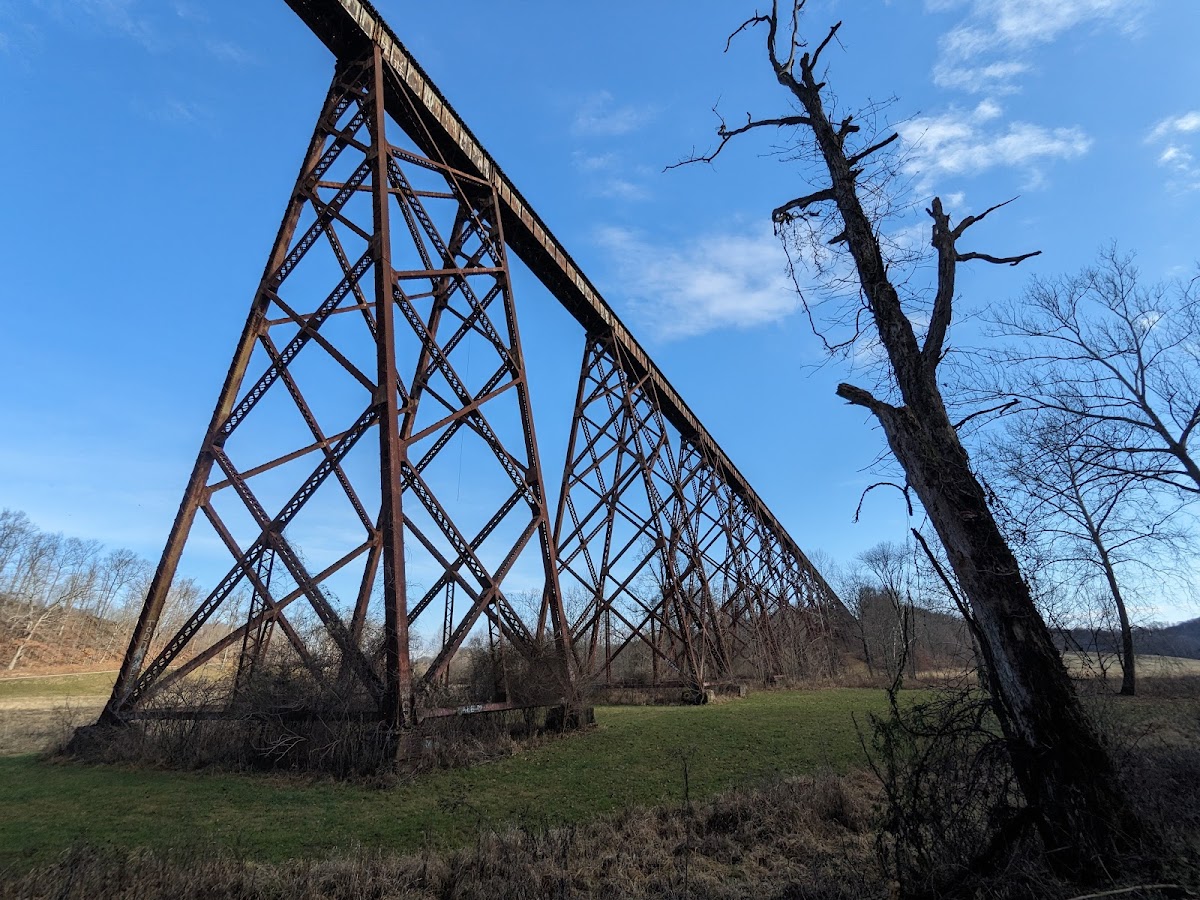 Tulip Viaduct