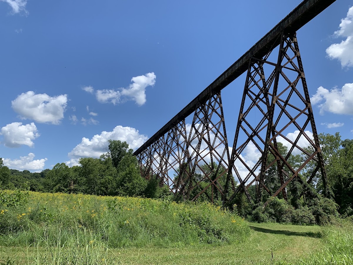 Tulip Trestle