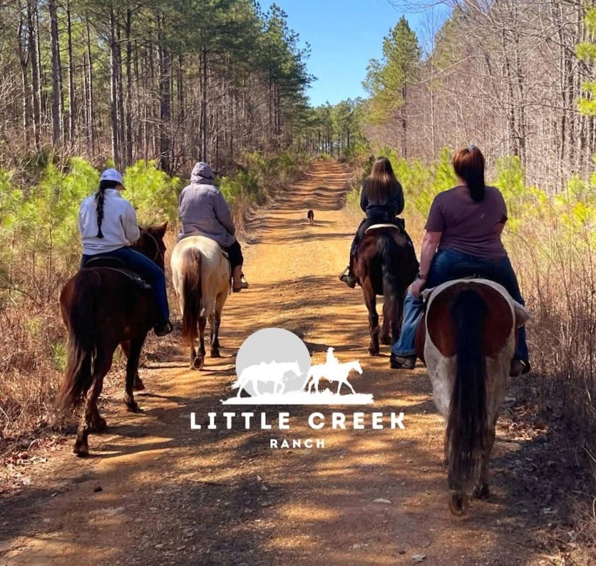 Little Creek Ranch in Wayneboro TN