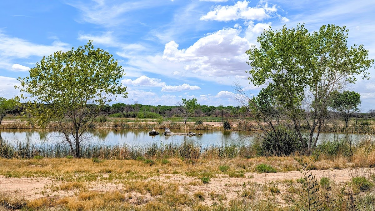 Whitfield Wildlife Conservation Area
