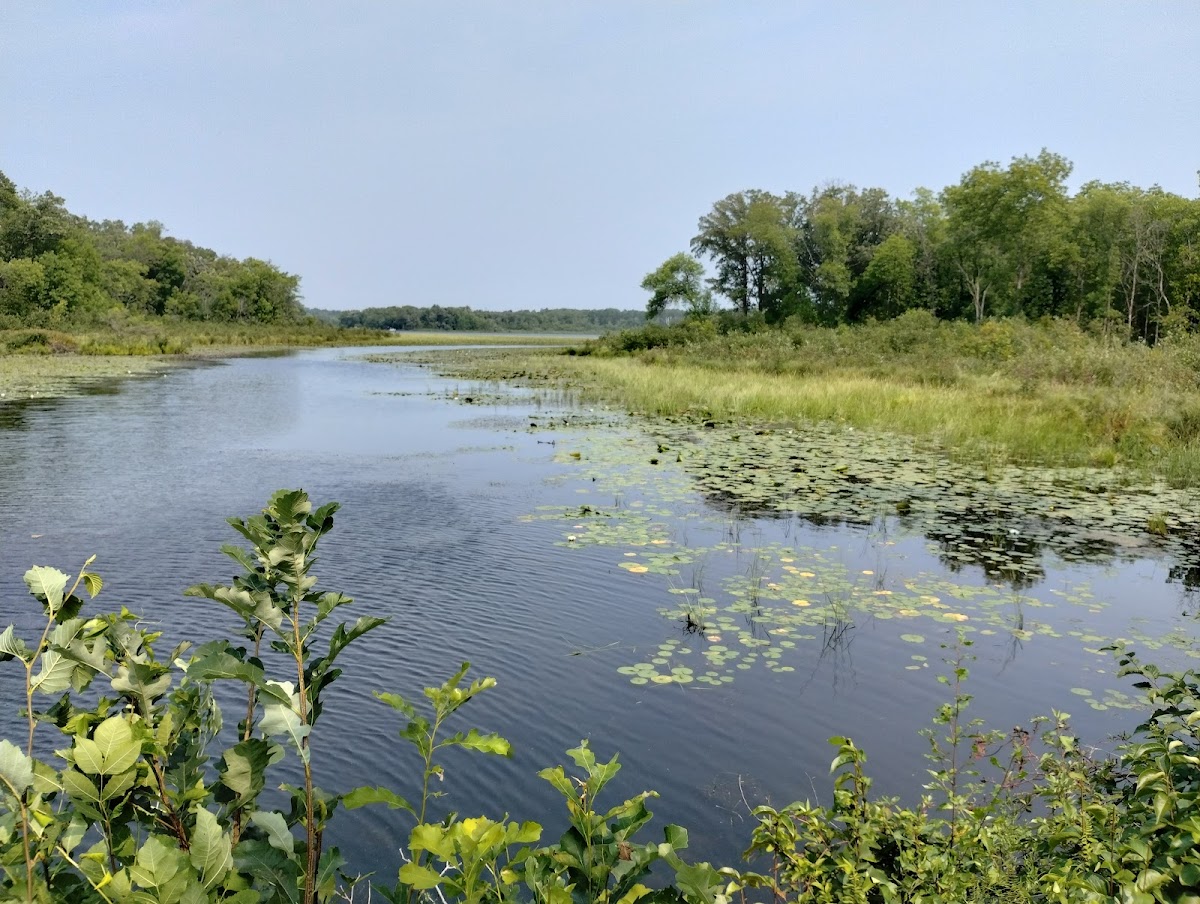 Sibley Lake