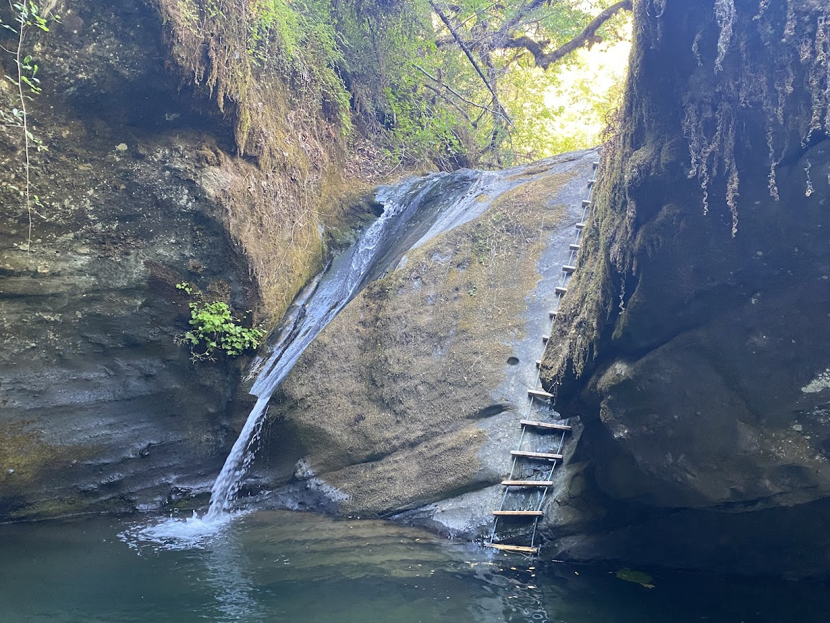Rogue National Wild and Scenic River