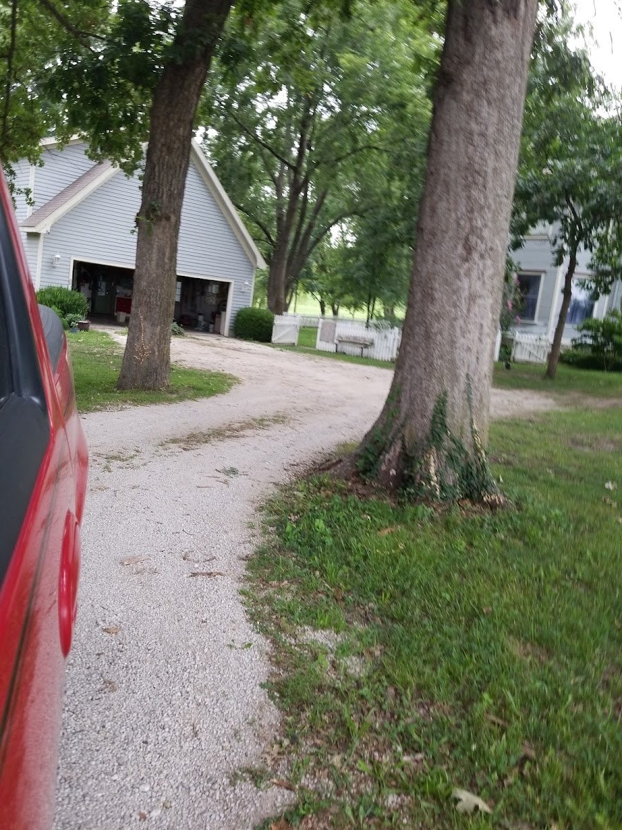 Mills House RV Park photo 2
