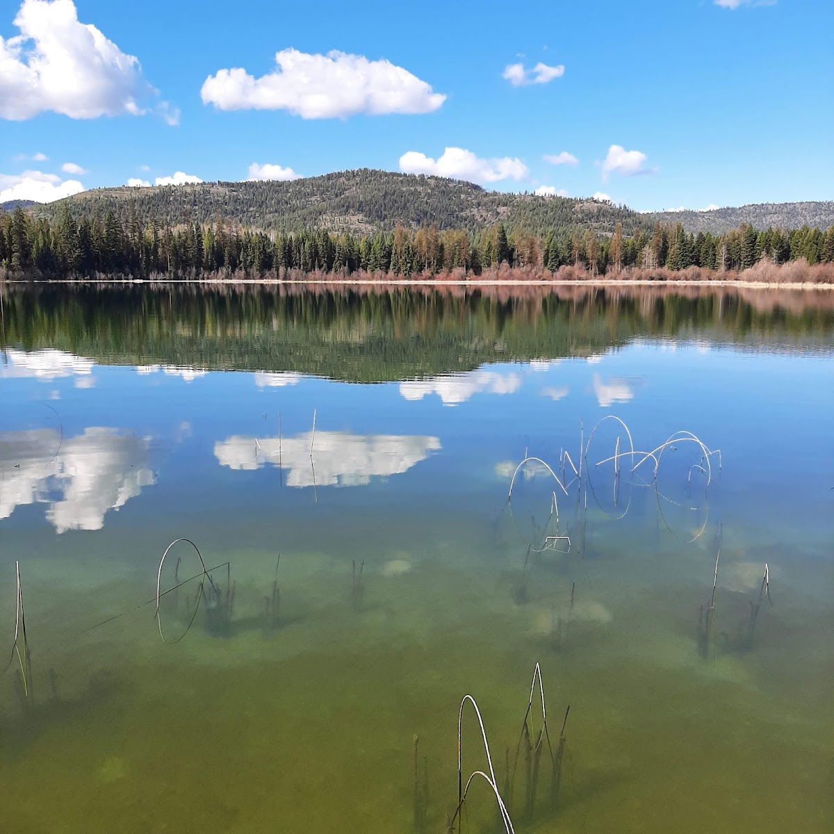 Thompson Chain of Lakes State Park