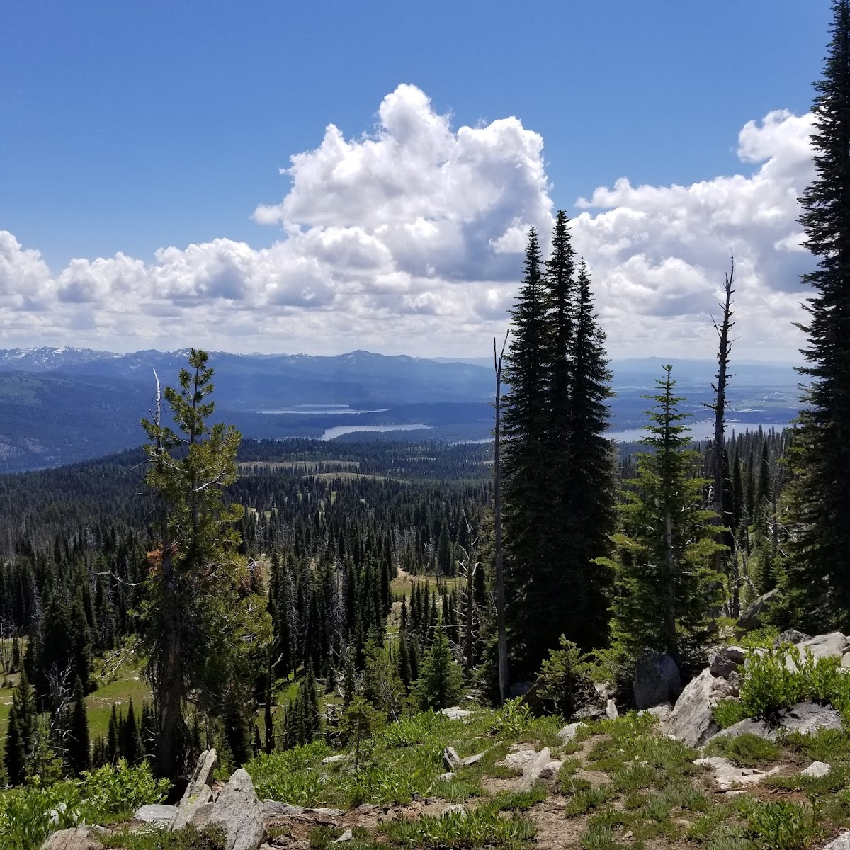 Top of Bluebird Lift