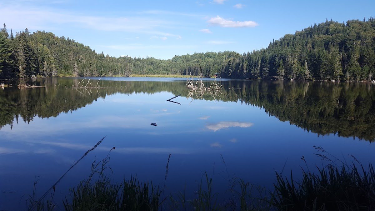 Sentier Un Lac Au Sommet