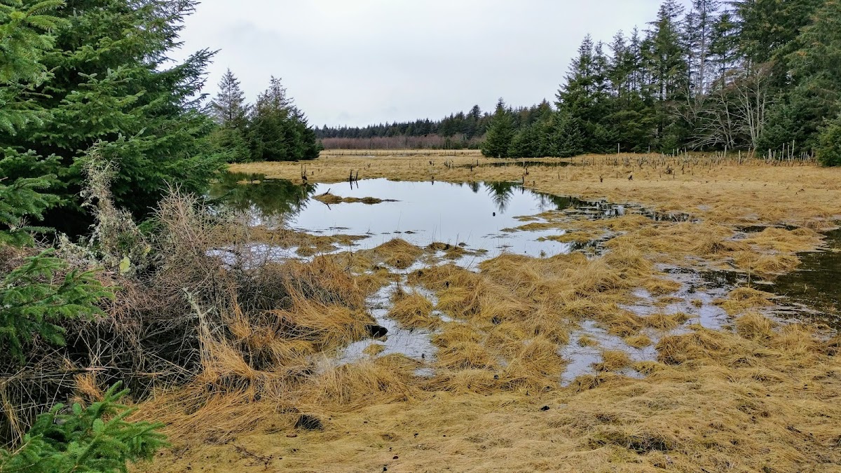 Delkatla Wildlife Sanctuary