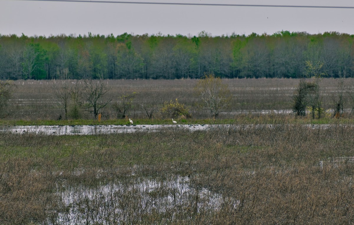 Russell Sage State Wildlife Management Area