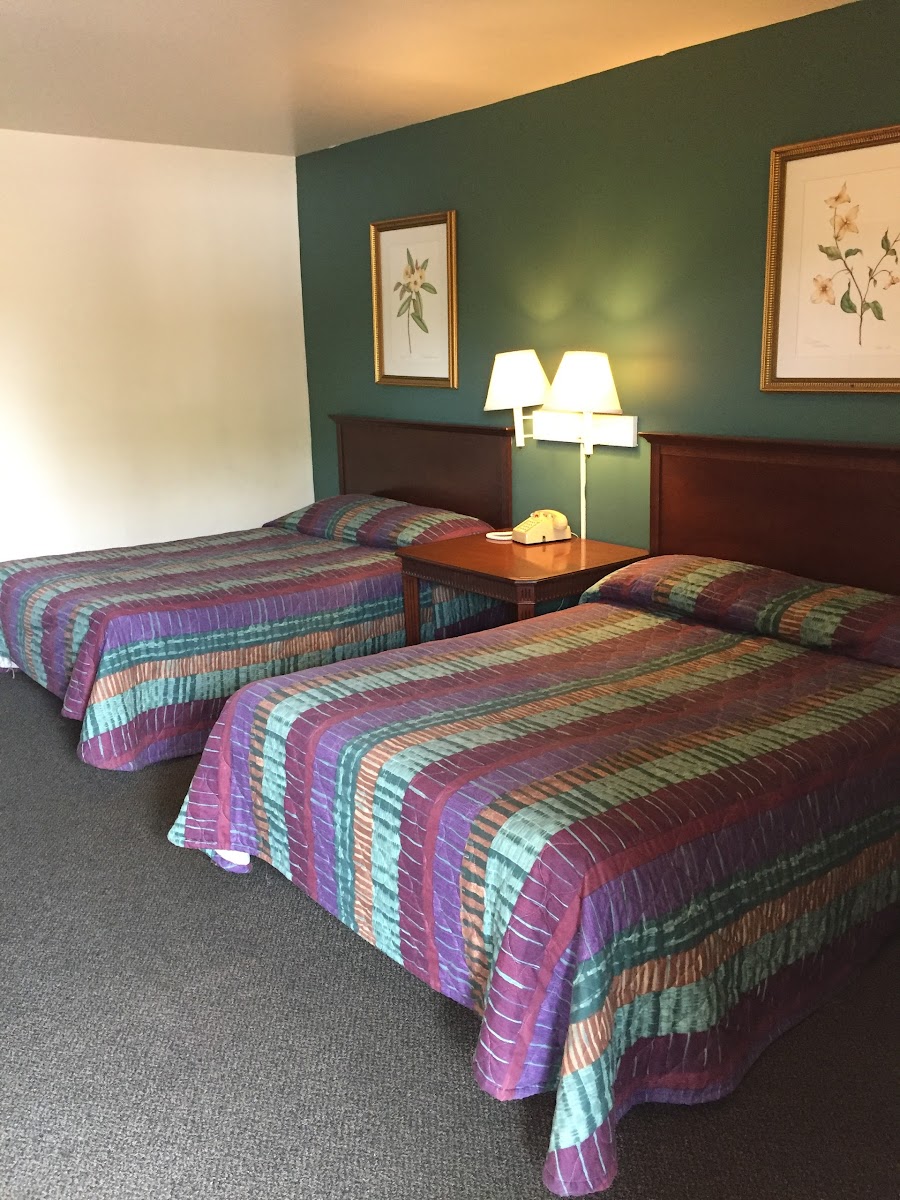 Hudson Plaza Motel photo 2