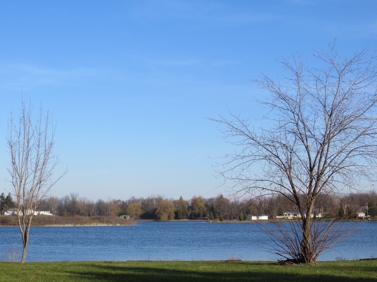 Shay Lake
