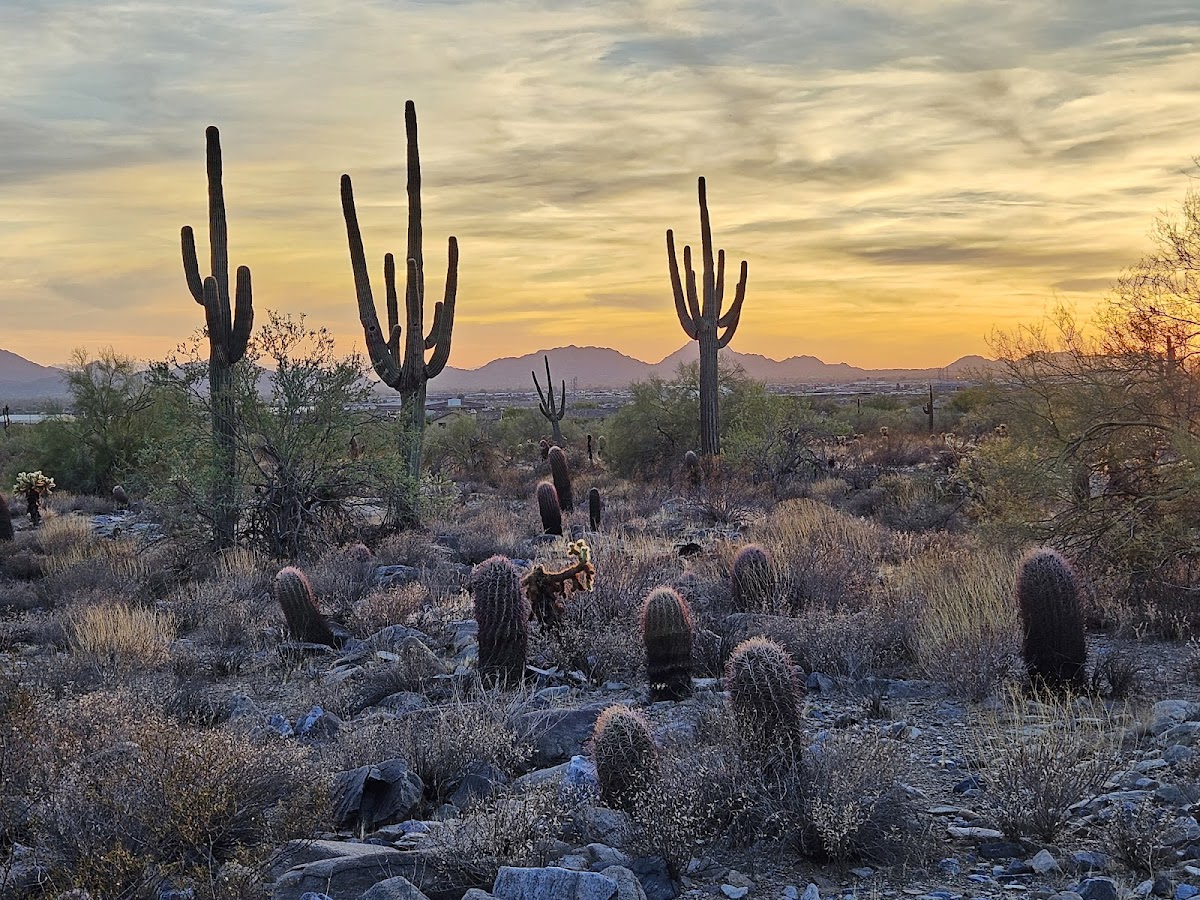 Gateway Trailhead - McDowell Sonoran Preserve