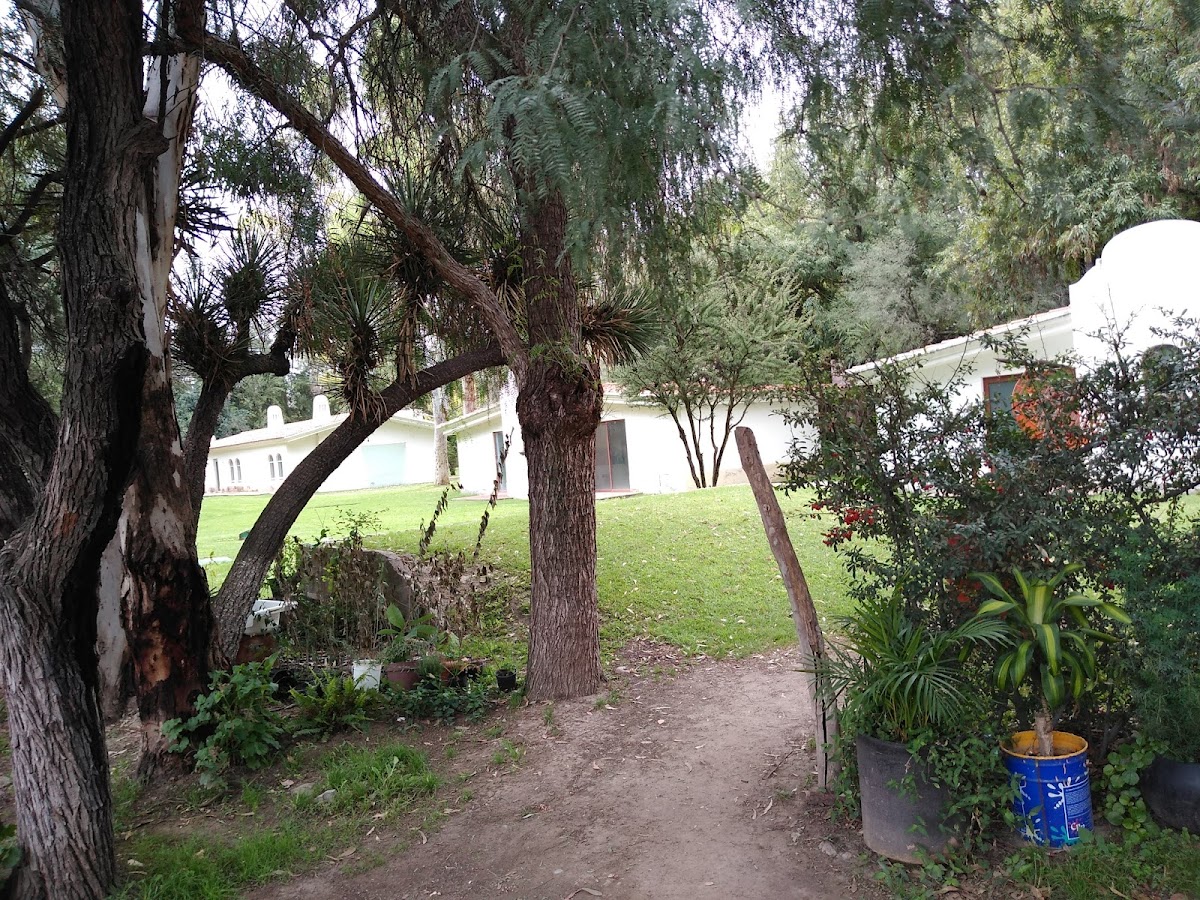 El Mezquite Hotel Boutique photo 2