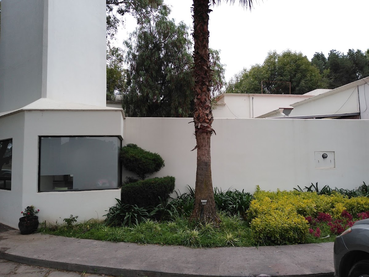 El Mezquite Hotel Boutique photo 3