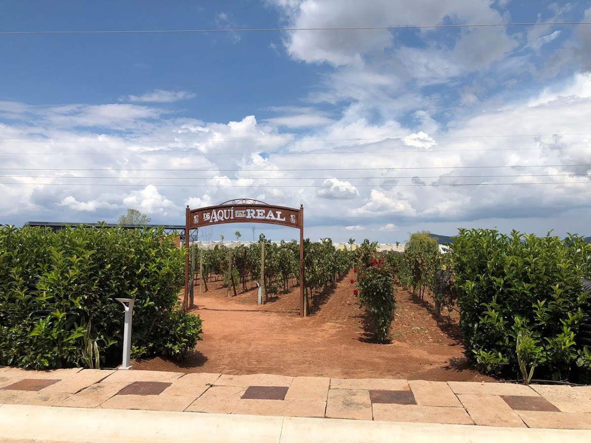 Campo Real Vinícola (Tierra Adentro)