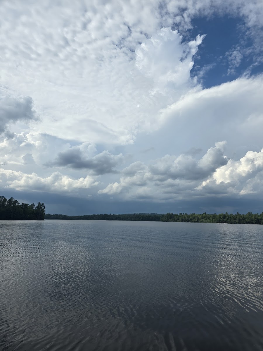 Crooked Pond