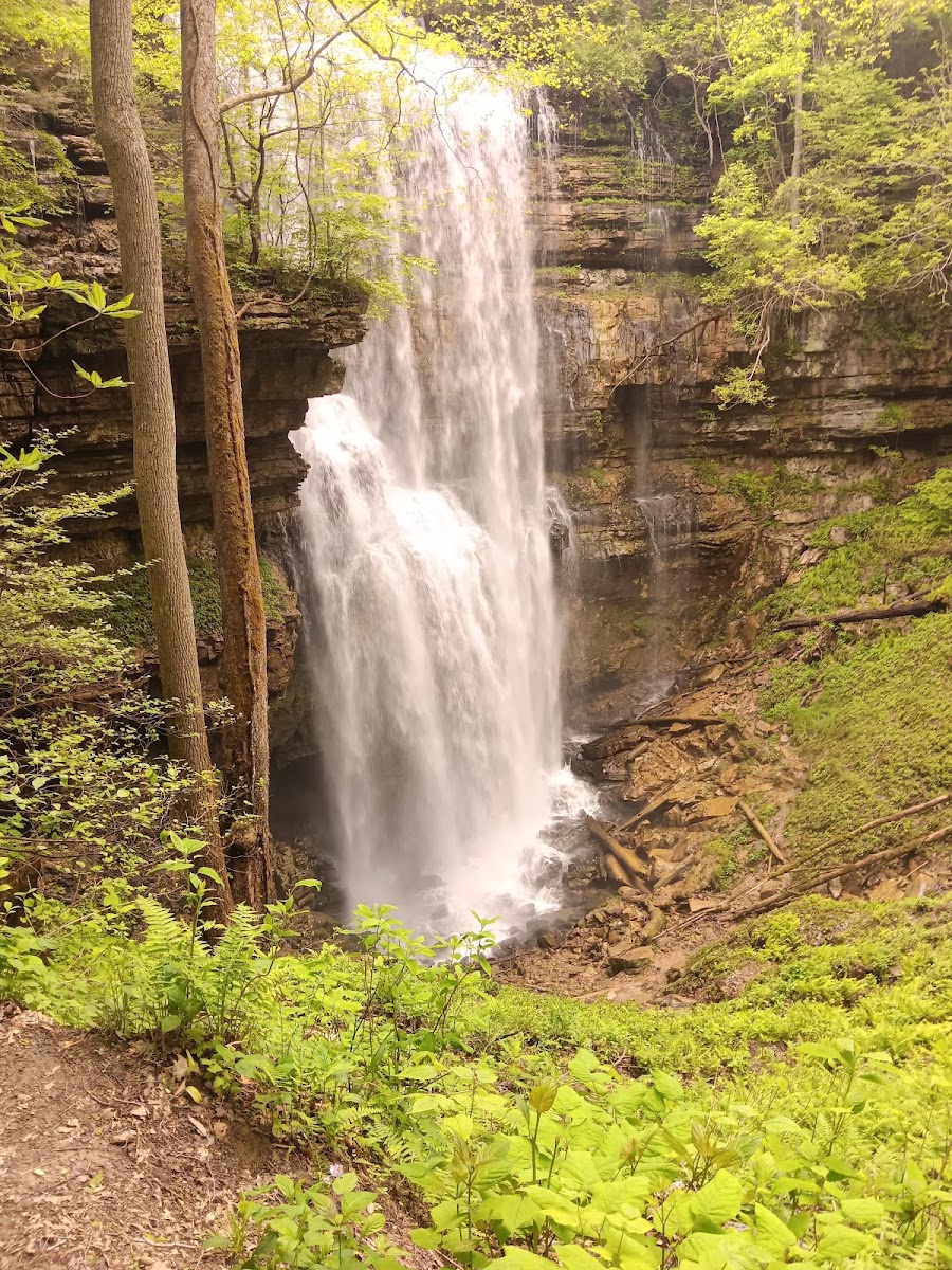 Virgin Falls