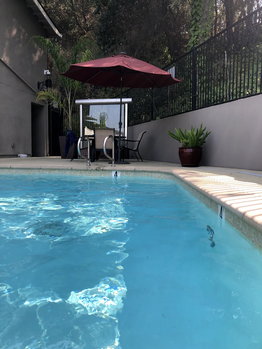 Best Western Inn of Los Gatos photo 3