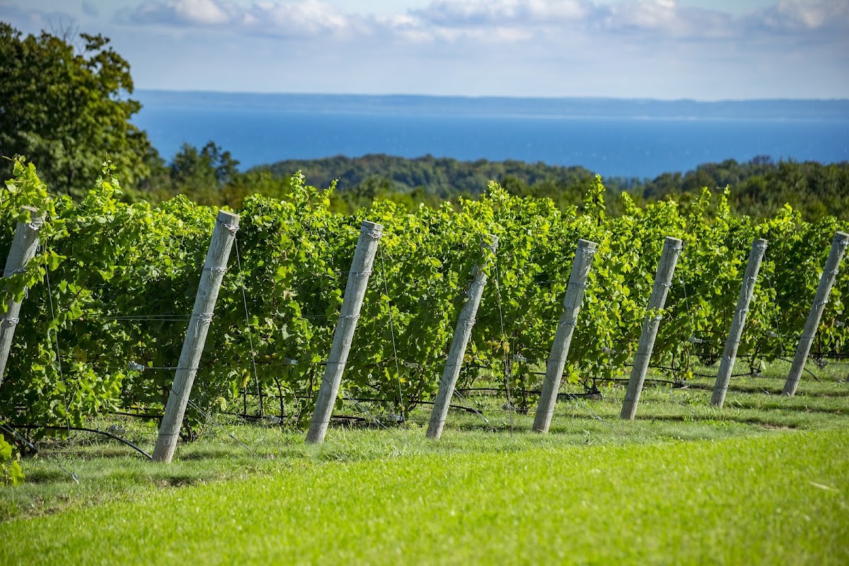 Leelanau Peninsula Wine Trail