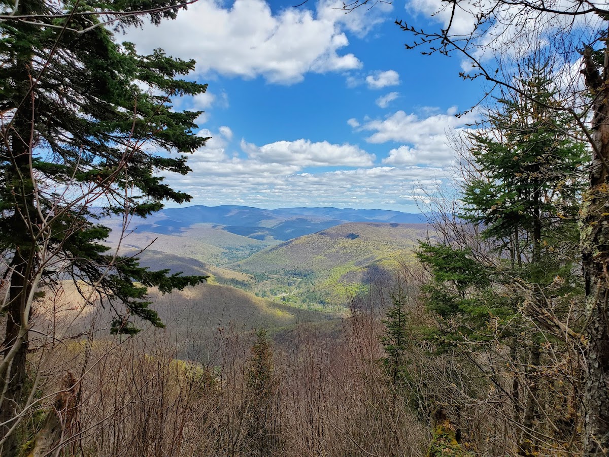 Balsam Mountain